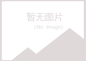 鹤山白山律师有限公司